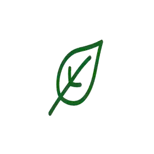 Wellness leaf icon